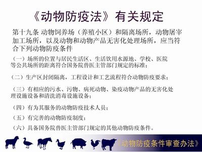 解讀《動(dòng)物防疫條件審查辦法》 動(dòng)物飼養(yǎng)環(huán)節(jié)的防疫合規(guī)指南
